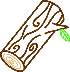 acclaim clipart: log with a leaf