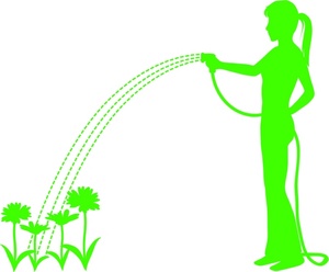 person watering flowers silhouette