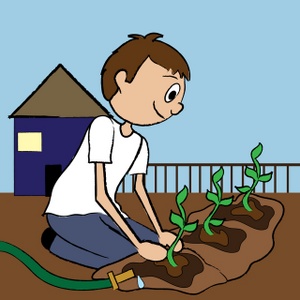 acclaim clipart: teenaged boy planting a garden
