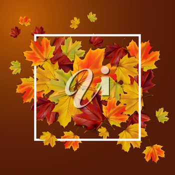 Abstract autumn background with colorful leaves, vector illustration